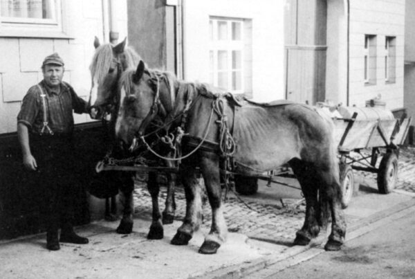 Landwirt Willi Fromme beim Anspannen vor seinem Wohnhaus auf der Burg- straße, 1982. Bei den täglich anfallenden Arbeiten setzte er immer noch Pferde ein, wie dies bereits sein Vater tat.