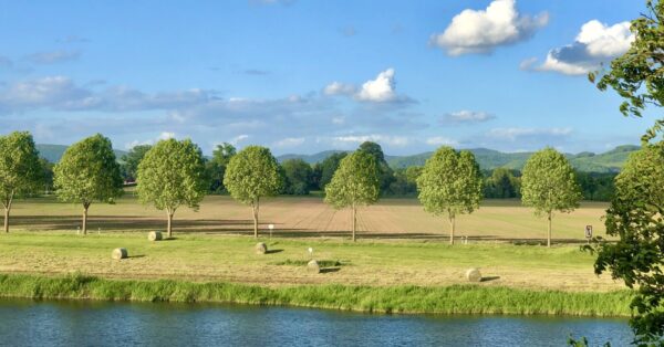 Weser mit Bäumen und blauem Himmel