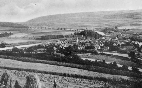 Blick vom Birkenberg auf den Flecken Polle, nach einer zeitgenössischen Postkarte um 1915. Der Turm der St. Georgskirche und die Gebäude des Amtshauses heben sich von dem bewaldeten Burghügel ab. Auf den Terrassenäckern des Birkenberges wurde Landwirtschaft betrieben, wie dieses bereits schon vor Jahrhunderten üblich war. Bis etwa 1950 wurden auf diesen hochgelegenen und schmalen Äckern neben Getreide auch Kartoffeln angebaut. Die Bewirtschaftung wurde danach aufgegeben und die Terrassen aufgeforstet.