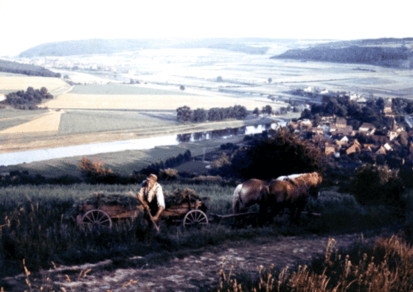 Der Landwirt Fritz Loreck aus Polle hat noch 1960 den Birkenberg landwirtschaftlich genutzt.