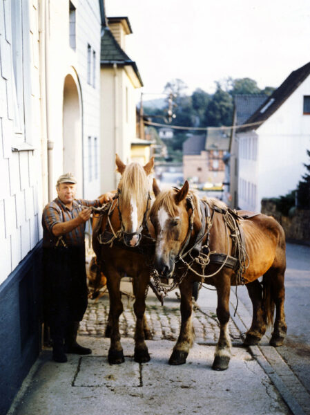 Bauer Fromme mit den beiden Zugpferden seines “Gummiwagens” auf dem Platz vor seinem Haus in der Burgstraße (gegenüber der Moorgasse, neben der Pfarrei).