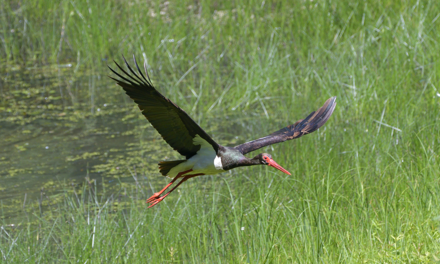 Fotoausstellung Hartmut Schrader „Zeitlose Faszination des Fotos“