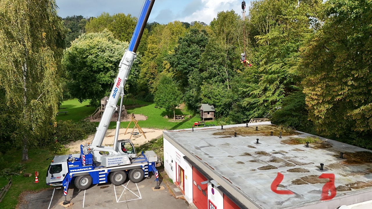Sicherheitsfällungen am Feuerwehrgerätehaus