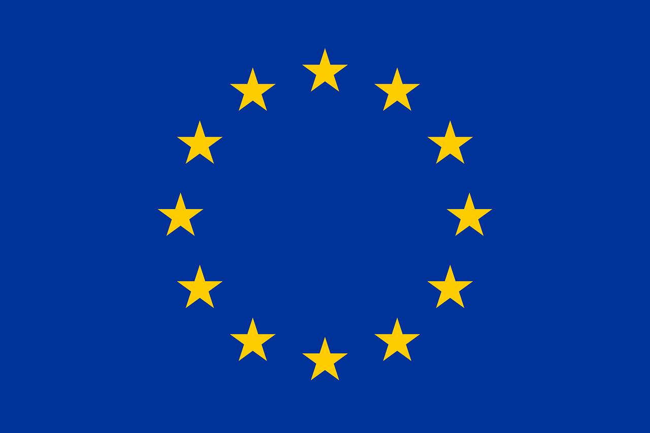 Europawahl 2024